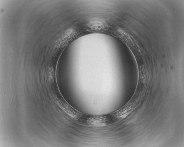 X0000060740563200511141136