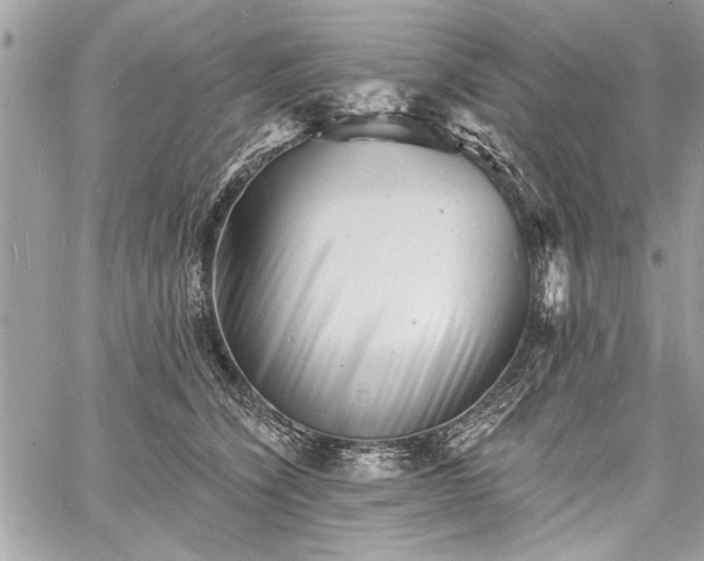 X0000060740564200511141136