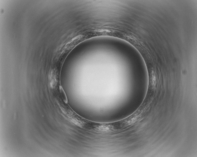 X0000060740566200511141136