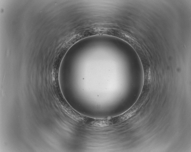 X0000060740567200511141136