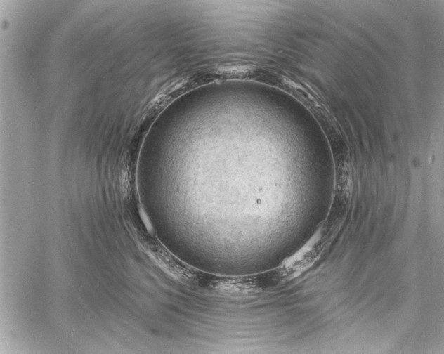 X0000060740568200511141136