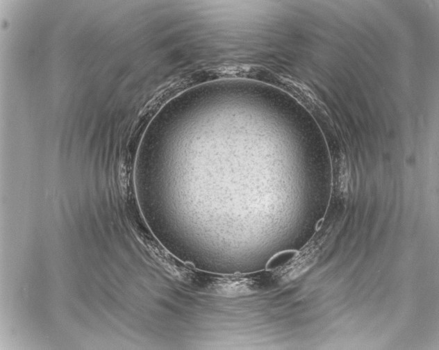 X0000060740569200511141136