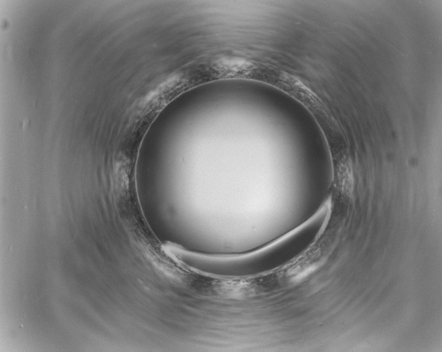 X0000060740570200511141136