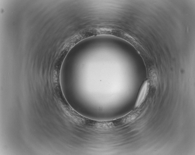 X0000060740571200511141136