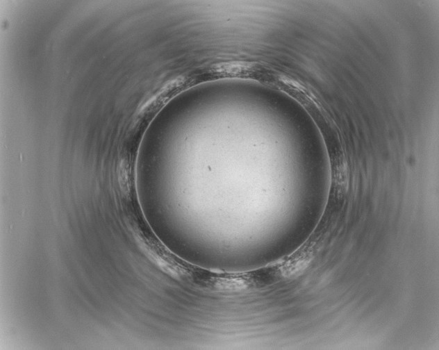 X0000060740572200511141136