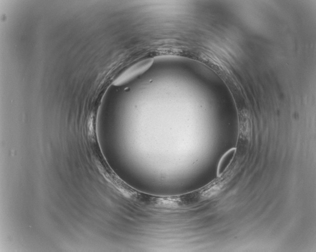 X0000060740573200511141136