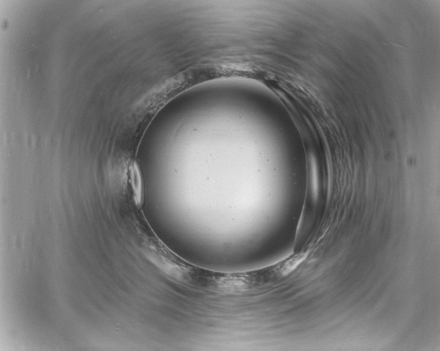 X0000060740574200511141136