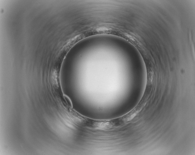 X0000060740575200511141136