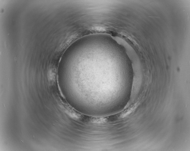 X0000060740576200511141136