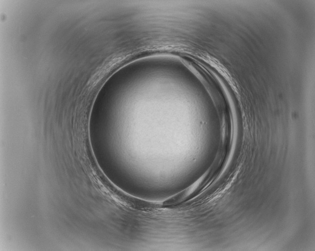 X0000060740577200511141135