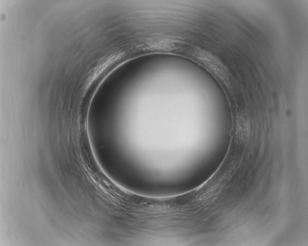 X0000060740578200511141135