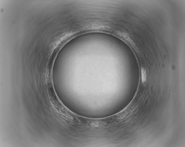 X0000060740579200511141135