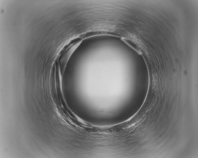 X0000060740580200511141135