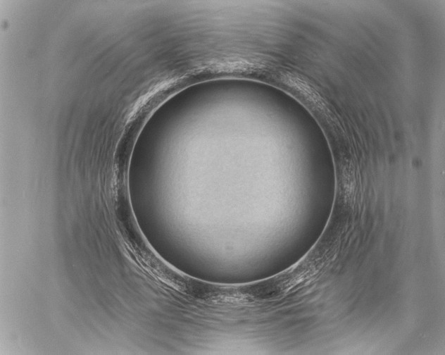 X0000060740583200511141135