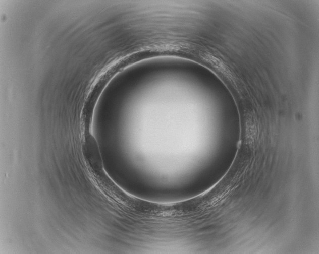 X0000060740584200511141135