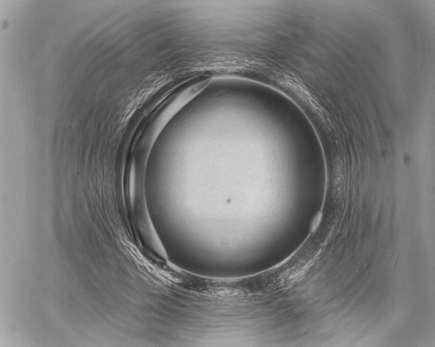 X0000060740585200511141135