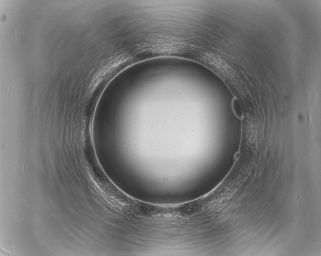 X0000060740586200511141135