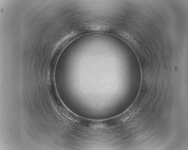 X0000060740587200511141135