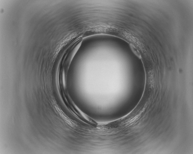 X0000060740589200511141135