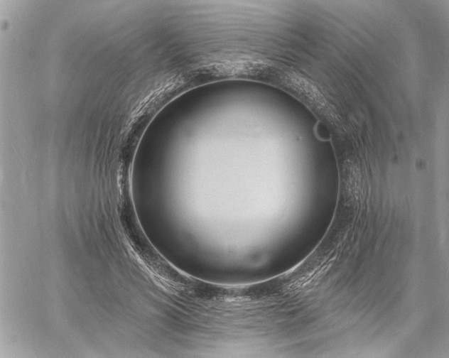 X0000060740590200511141135