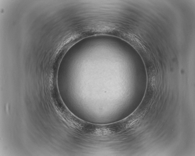 X0000060740591200511141135