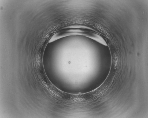 X0000060740593200511141135