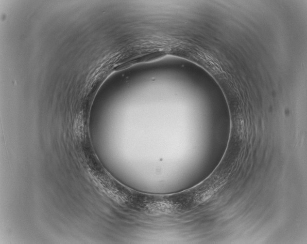 X0000060740594200511141135