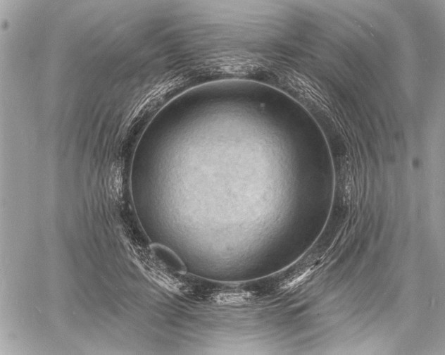 X0000060740595200511141135