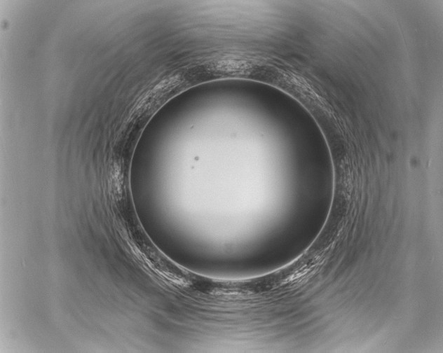 X0000060740597200511141135