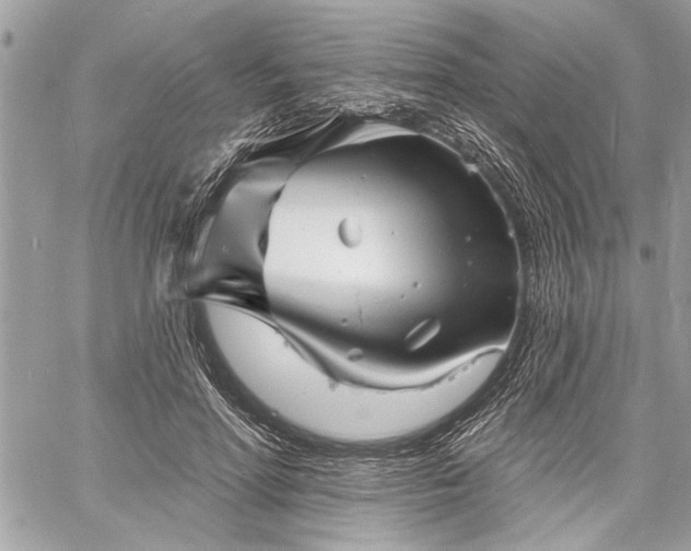 X0000060740598200511141135