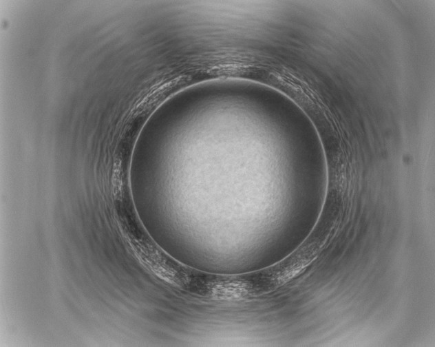 X0000060740599200511141135