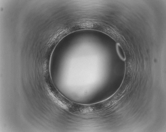 X0000060740600200511141135