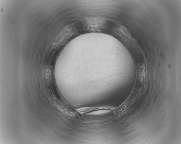 X0000060740603200511141135