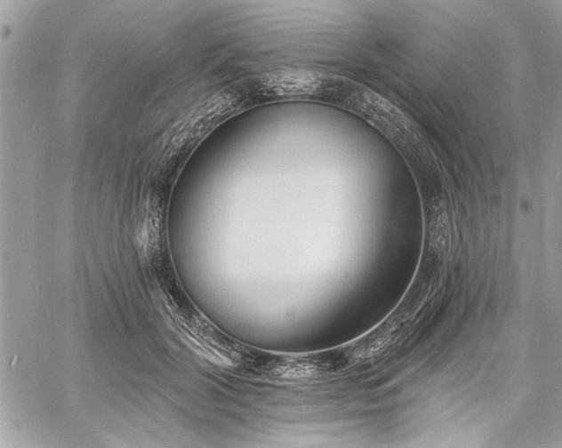 X0000060740604200511141135