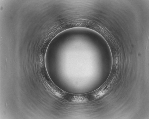 X0000060740605200511141135