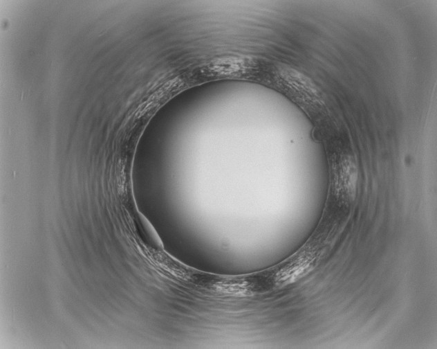 X0000060740606200511141135