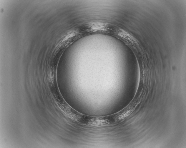 X0000060740607200511141135