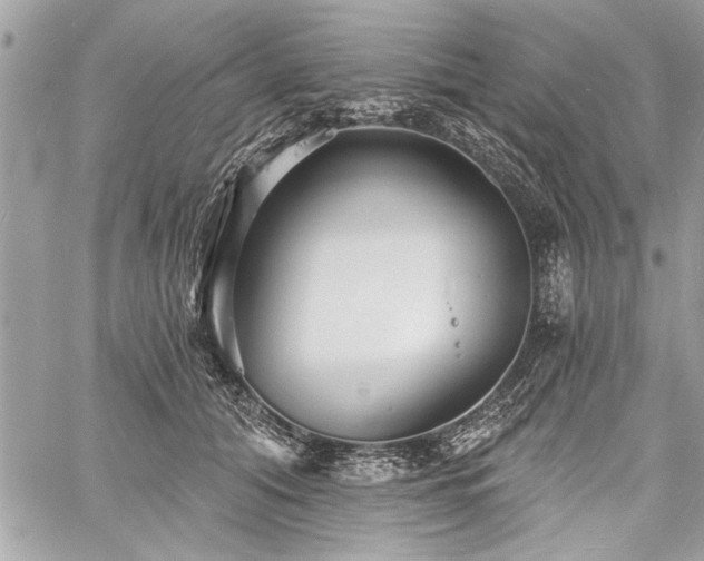 X0000060740608200511141135