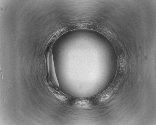 X0000060740611200511141135