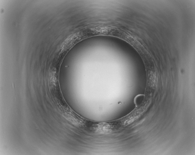 X0000060740612200511141135