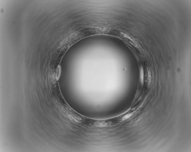 X0000060740613200511141135