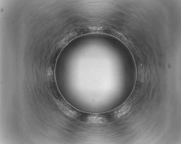 X0000060740614200511141135