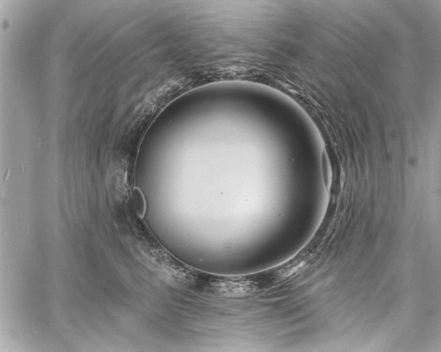 X0000060740615200511141134