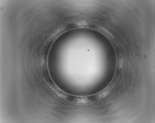 X0000060740618200511141134