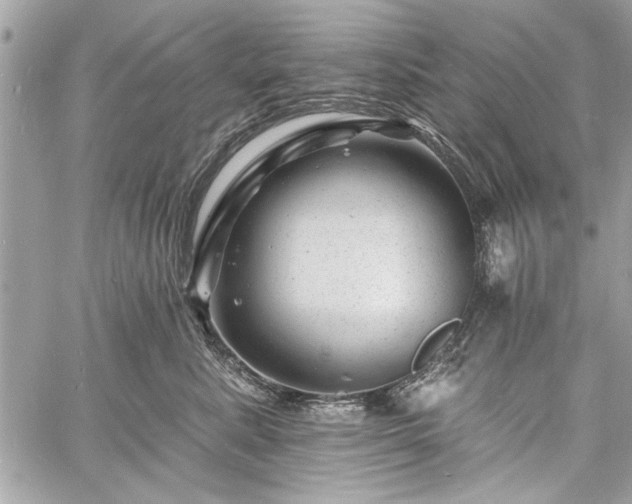 X0000060740619200511141134