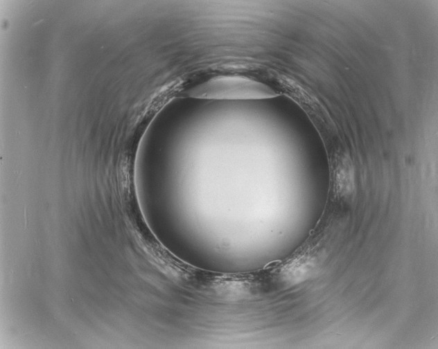 X0000060740620200511141134