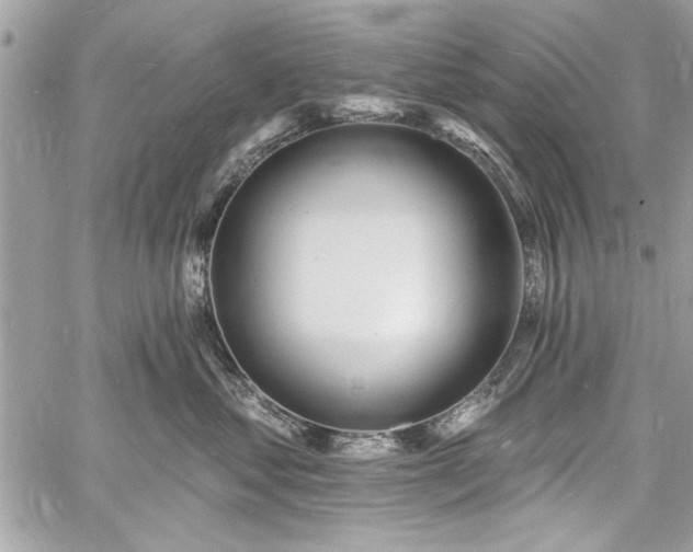 X0000060740621200511141134