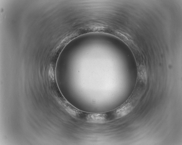 X0000060740622200511141134