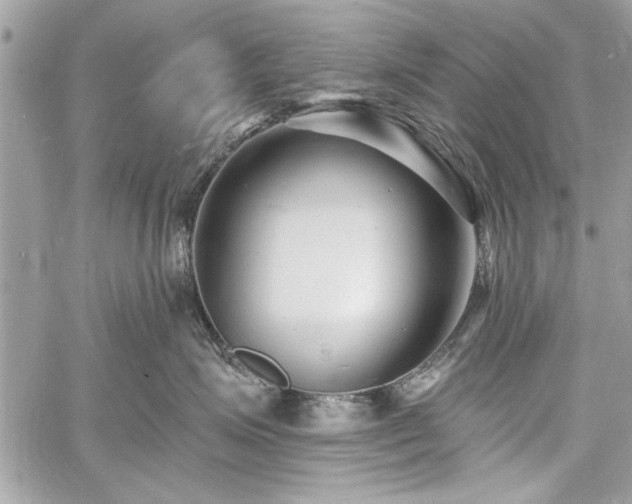 X0000060740623200511141134