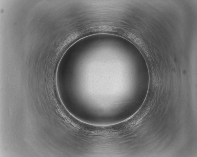 X0000060740625200511141134